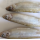 temiz bütün gölet kokusu balık iqf dondurulmuş deniz ürünleri tedarik